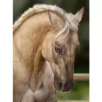 Лошадь Значок 5D DIY Алмазная картина Лошадь Узор 3D Алмазная вышивка крестом Животное Кристалл Мозаика 20X30CM