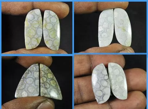 Лот из 4 пар натуральных ископаемых кораллов с кабошонами 21-25 мм RQ-991