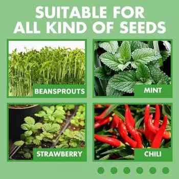 Лоток для семян с 12 отверстиями и влагозащитным куполом для суккулентов (белый) КДЕ