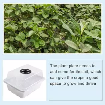 Лоток для семян с 12 отверстиями и влагозащитным куполом для суккулентов (белый)