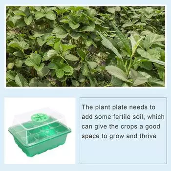 Лоток для семян с 12 отверстиями и влагозащитным куполом для суккулентов (зеленый) КДЕ