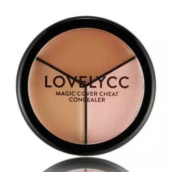 Lovely CC Magic Cover Cheat Concealer 12g 5 colors, shade No. 5, 1 blush