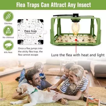 Ловушка для блох в помещении Выдвижная энергосберегающая Дружелюбная к детям Высокая яркость Простая установка Контроль домашних животных Без излучения Внутренняя липкая ловушка для блох со светодиодом AU Plug зелёный