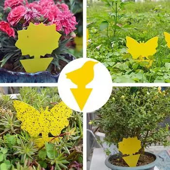 Ловушки для мух Folulus, липкая доска, двусторонние липкие ловушки, ловушка для летающих растений и насекомых One Size жёлтый