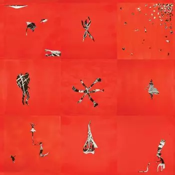 LP Пластинка ANIMAL COLLECTIVE - Hollinndagain LPACEE300 Domino 2020 US Рок