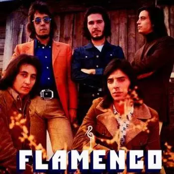 LP Пластинка ФЛАМЕНКО - Flamenco MRSSS004 Vinilisssimo 1973 Европа Мировая Музыка