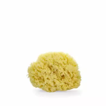 Луа и Ли Губка 1 ед.