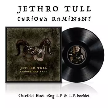 Любопытный жвачный черный LP (Разворотный конверт и буклет-пластинка) [Аналоговый]