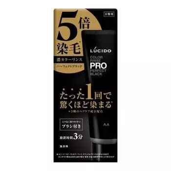 LUCIDO Color Rinse PRO Perfect Black [Окрашивающее средство Color Rinse] 120 г