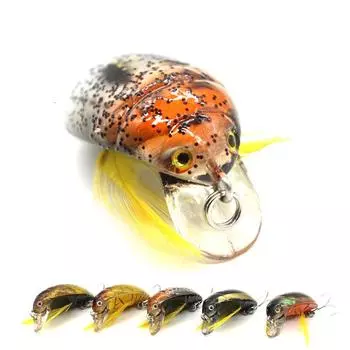 Luya Bait Жесткая приманка Beetle Xiaoqiang Bionic Fake Bait 3,5 см/4 г Приманка для насекомых Приманка для рыбы на поверхности воды
