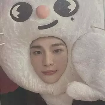 Лыжи Stray Kids Ski Zoo Maximum Zip Shop Zip Shop Хёнджин Poca Mi Ghoupo Genirette