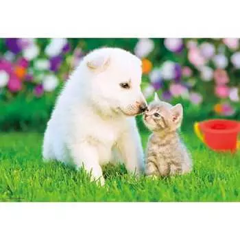 [Made in Japan] Beverly 300 Piece Jigsaw Puzzle Love Feelings (26 x 38cm) P33-198 White