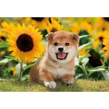 [Made in Japan] Beverly 300 Piece Jigsaw Puzzle Sunflower and Me (26 x 38cm) 300-064