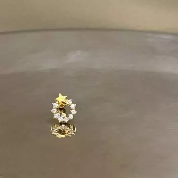 Магазин Ringring Медицинская титановая сталь Плоские серьги-гвоздики для козелка Golden Star Circle 1