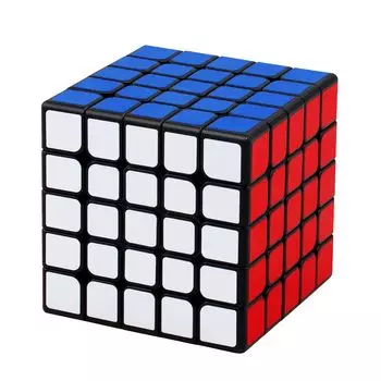 Магнит 5x5x5 Magic Cube для профессионалов Плавное вращение Стабильность Обучающая игрушка Magic Cube Версия Встроенный (Магнитный 5x5)