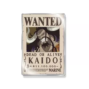 Магнит-книга «Wanted Book» из акрила «Tapioca ONE PIECE Kaido Vol.2»