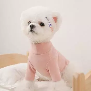 Макаронный цвет с шарфом комплект из двух предметов медведь кошка щенок собака теплая одежда для питомцев осень и зима нижняя рубашка XS (1-1.5 kg recommended)