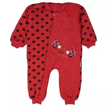 Маленькая Леди Баг Письменная Божья Коровка Заостренный Красный Комбинезон