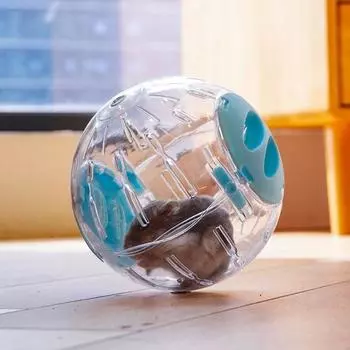 Маленькие домашние крысы, игрушка для лазания, мяч для бега хомяка, беговая дорожка для хомяка, колеса для упражнений с хомяком S синий