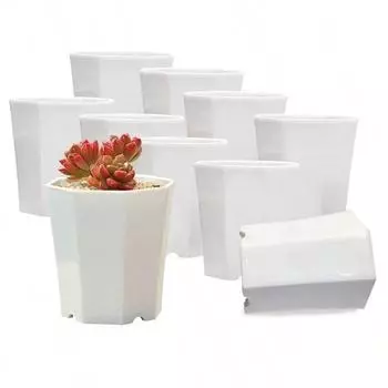 Маленький пластиковый восьмиугольный цветочный горшок, монохромный, горшок для рассады, настольная декоративная композиция из суккулентов, воздухопроницаемая, TMZ, 10 шт.