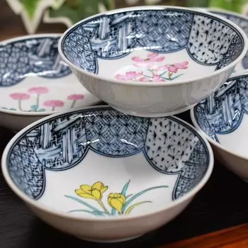 Маленький стильный набор Kutani, небольшой набор цветочных японских сервировочных тарелок, миска, столовая посуда, посуда, миска, 5, узор, керамика, столовая посуда,