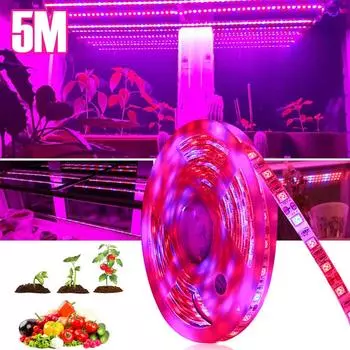 MALITAI 16,4 фута, водонепроницаемые, 12 В, полный спектр, светодиодные лампы для выращивания растений, 5050SMD, 60 светодиодов/м, светодиодные ленты, лампы для растений, светодиодные ленты для освещения садовой теплицы 3R+1B IP65