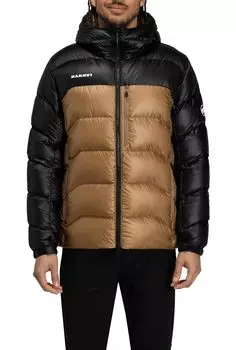 Mammut Gravity Insulation Hooded Jacket Asian Fit Gravity IN Hooded Jacket AF Men dark Men s / 1013-02630 sand-black