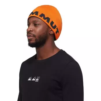 Mammut Logo Beanie [Mammut] 1191-04891 arumita-night