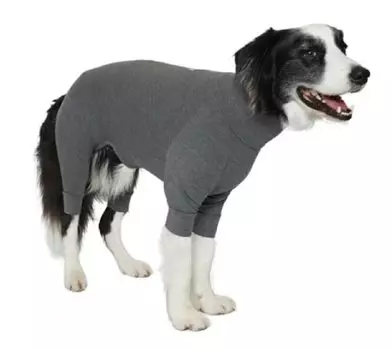 MANDARINE BROTHERS SKIN TIGHT SUIT Dog Inner Wear (XL, GRAY)