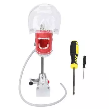 Манекен голова зубы модель стол фиксирующий зажим вращающийся свободно стоматологический учебный практикующий голова форма