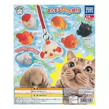 Manmaru Animal Manmaru Goldfish Netsuke All 6 Types Full Complete Set Takara Tomy Arts Gachapon Gashapon Mobile Strap