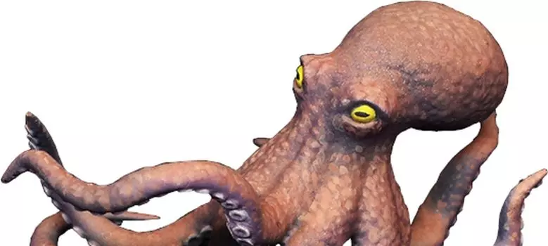 Mantis Miniature Animal Series Animal Set 55 Undersea Creatures Resin Kit Man35183 1/35 Octopus/Crab/Starfish/Snail