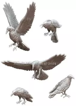 Mantis Miniature Animal Set 60 Crow Resin Kit Man35195 1/35 (Animal)