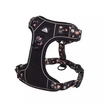 Manufacturer Explosion-Proof Reflective Dog Hand Holding Rope Medium Large Dog Dog Leash Adjustable Chest Strap Pet Supplies Wholesale S (5.00 kg-7.50 kg Munich