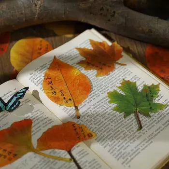 Маркеры Флаги Опавшие листья Бумага для заметок Бумага для сообщений Почта Блокноты для заметок Канцелярские товары A