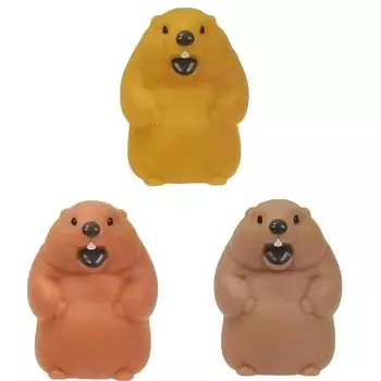 Marmot who know what to do x All 3 types set Full Comp Gacha Gacha Capsule Toy doesn t