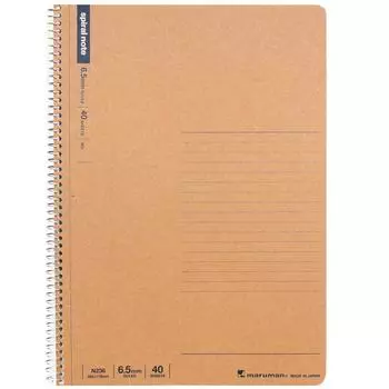 Maruman Note Ring Notebook Ruled Basic B5 40 Sheets 10 Book Set N236 6.5mm
