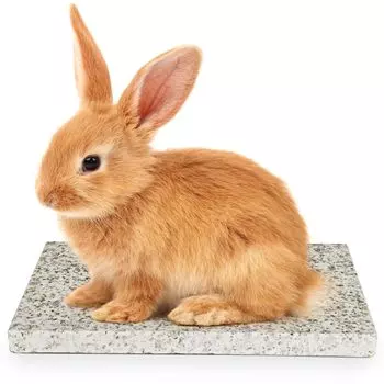 MARUNDA Rabbit Cooling Mat Pet Cooling Mat Magical Natural Stone Cat Cooling Mat Hamster Cooling Mat Cool Marble Summer 25151.5cm светло-желтого