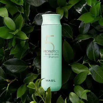 Masil 5 ПРОБИОТИКОВ ШАМПУНЬ ДЛЯ ГОЛОВЫ ОТ ШЕЛУШЕНИЯ 300 мл, корейская косметика, лечение волос, KBeauty, САЛОННЫЙ ЭФФЕКТ, образец