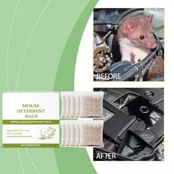 Масло перечной мяты Бытовые отпугиватели грызунов Растительное масло Essentialss Набор для отпугивания грызунов в помещении One Size зелёный