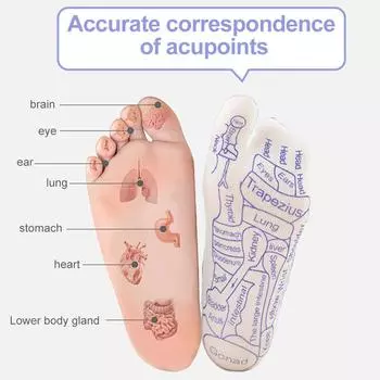Massage Relieve Tired Feet Socks with Massage Tool Physiotherapy Socks English Illustration Physiotherapy Massage Socks