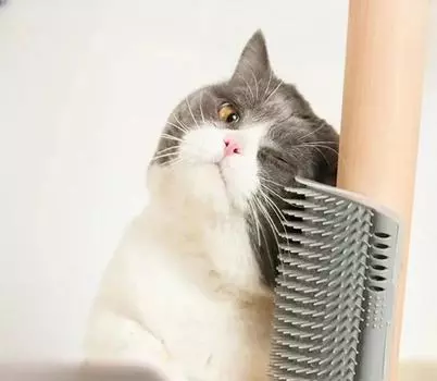 Массажная щетка для домашних животных, угловая щетка для удаления волос, чистая угловая щетка, съемная