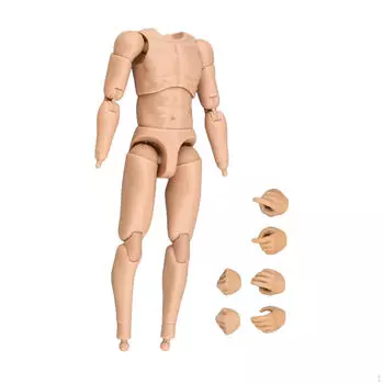 Масштаб 1/12 Мужская фигурка Модель Игрушка для Выставочной Коллекции Художественных Работ