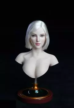 Масштабная фигурка SUPER DUCK SDH018 Совместимо с телом TBLeague OL офисная леди красивая женская голова и одежда не [TOYBARJAPAN] 1/6 (тело