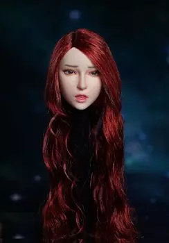 Масштабная фигурка СУПЕР УТКА Красивое выражение лица Азиатская красавица голова и одежда не [TOYBARJAPAN] 1/6 SDH027-A (тело включено)