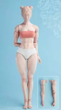 масштабная фигурка Worldbox AT206 muscle version жемчужно-белая кожа женское тело и одежда не [TOYBARJAPAN] 1/6 (голова включена) (В)