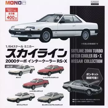 Масштабная мини-машина Skyline 2000 Turbo Intercooler NISSAN КОЛЛЕКЦИЯ из 5 моделей 1/64 RS X [Набор (полный полный)]