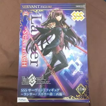 Matching World Order SSS Servant Figure Third Ascension Fate/Grand Lancer/Scthach