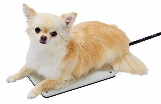 MATE Reversible electric heater for hard S size ADD. dogs,