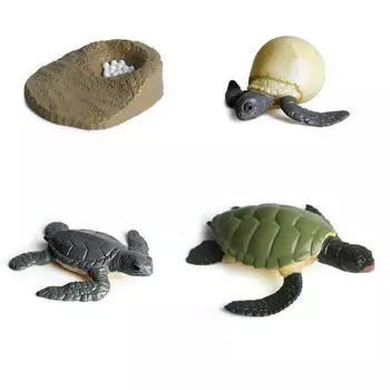 Material Insect Animals Life Cycle Figurine Action Figures Growth Cycle Model Simulation Animals Sea turtle